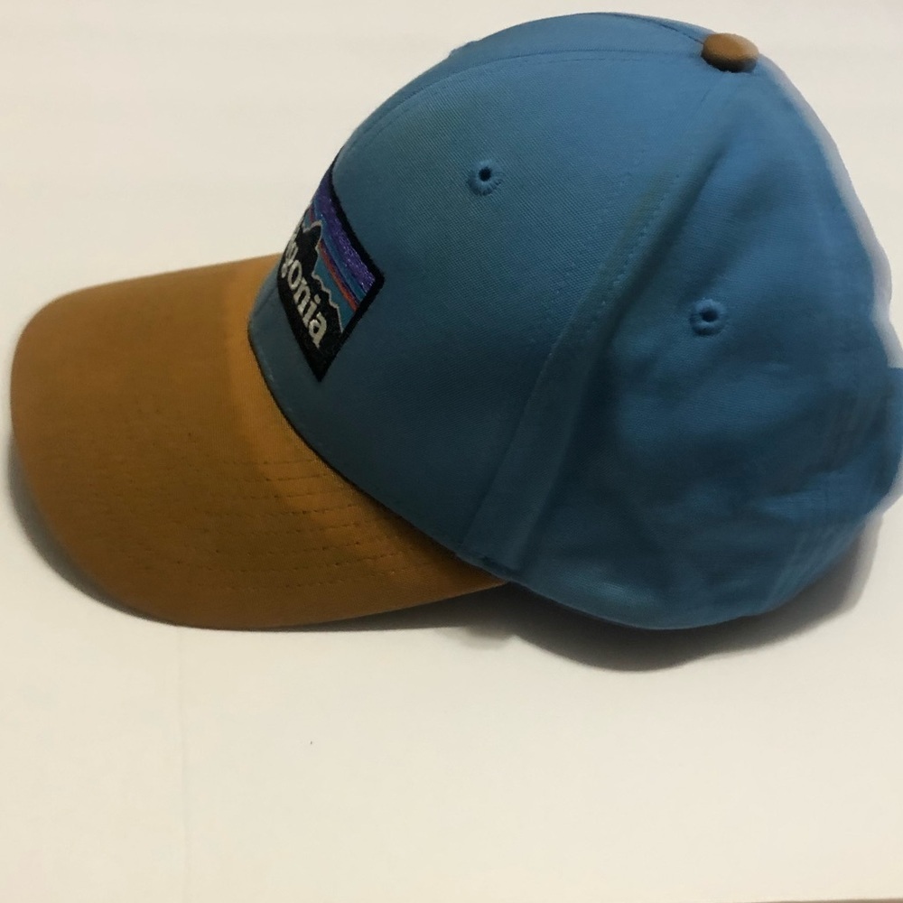 Patagonia Blue and Tan Cap